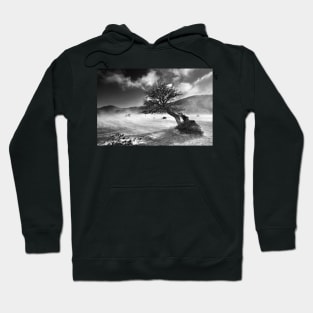 Never surrender! Hoodie